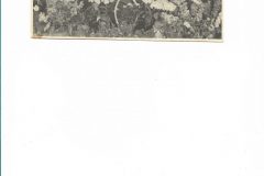 Bakre raden Maj-Lis, Olle, Karin och Sigurd
Gunborg, Birger, Hulda Ivar och Kerstin